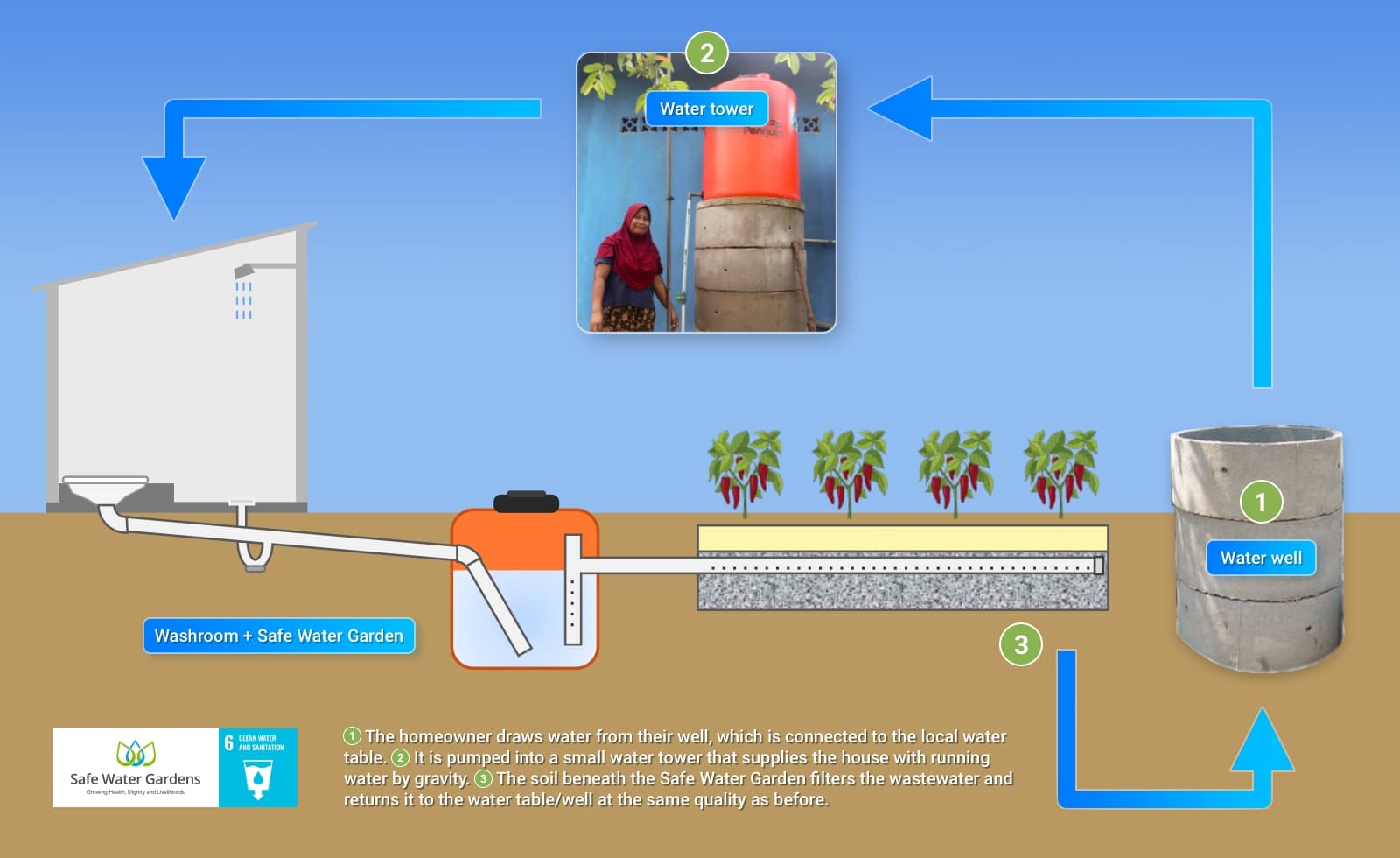 Schematic model of the Safe Water Garden cycle (circularity)